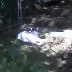 Meet your Posher, Dot